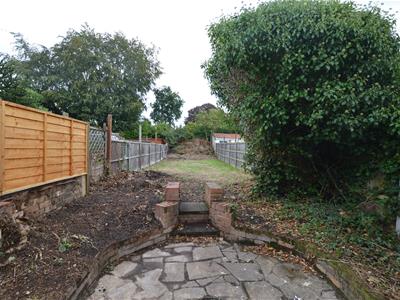 Picture 12